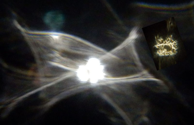 �q�[�����O