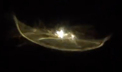 �q�[�����O