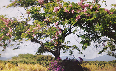 �q�[�����O